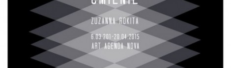 Wystawa Zuzanny Rokity w Galerii Art Agenda Nova