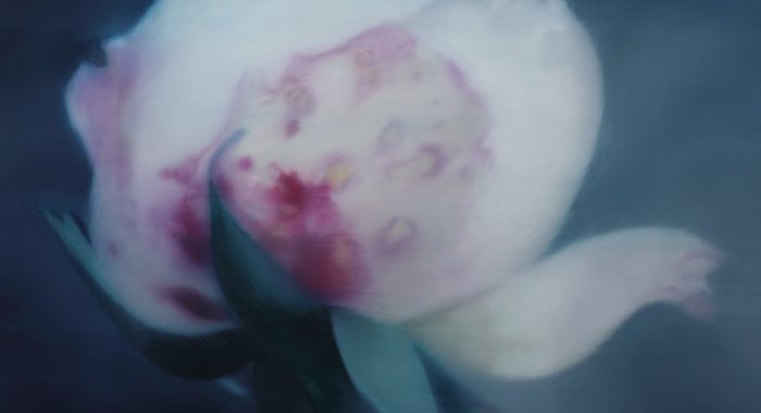 Bartłomiej Otocki - Symptomy