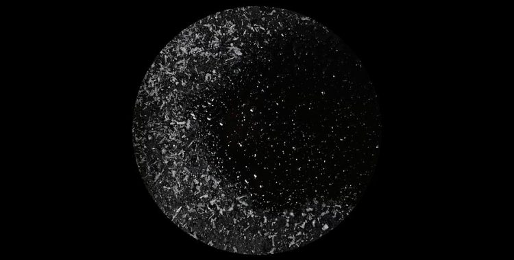 Marta Stachowska - Flush